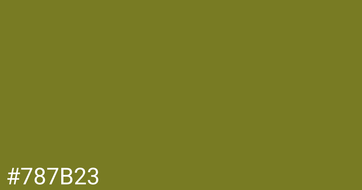 Hex color #787b23 graphic