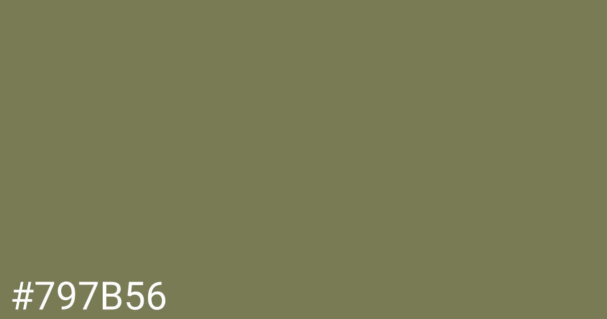 Hex color #797b56 graphic