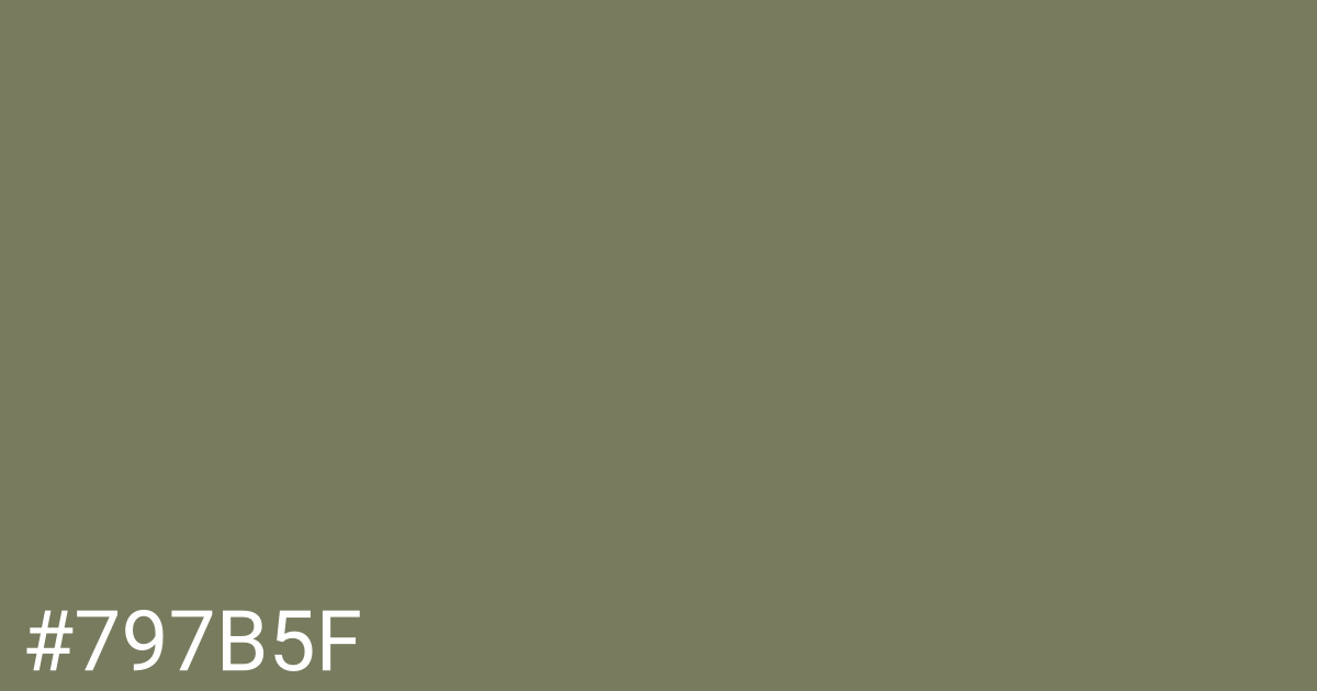 Hex color #797b5f graphic