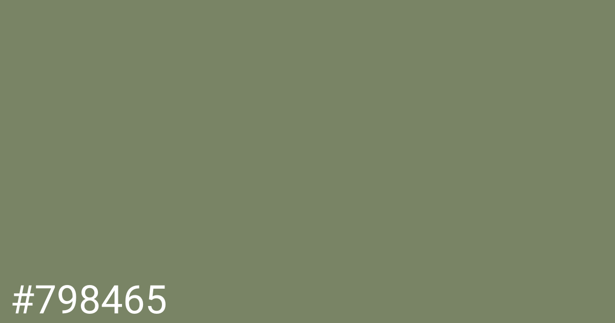 Hex color #798465 graphic