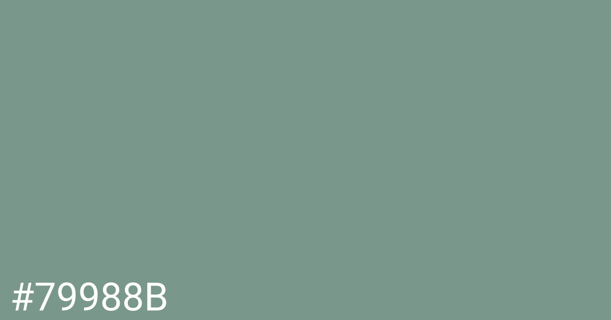 Hex color #79988b graphic