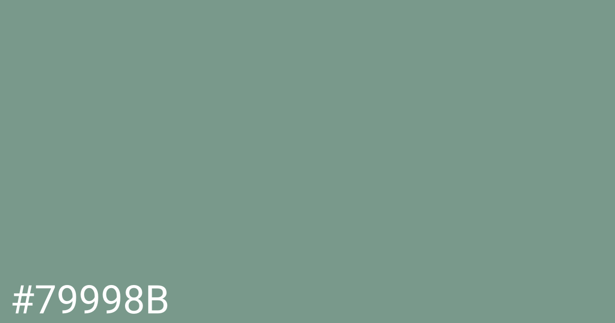 Hex color #79998b graphic