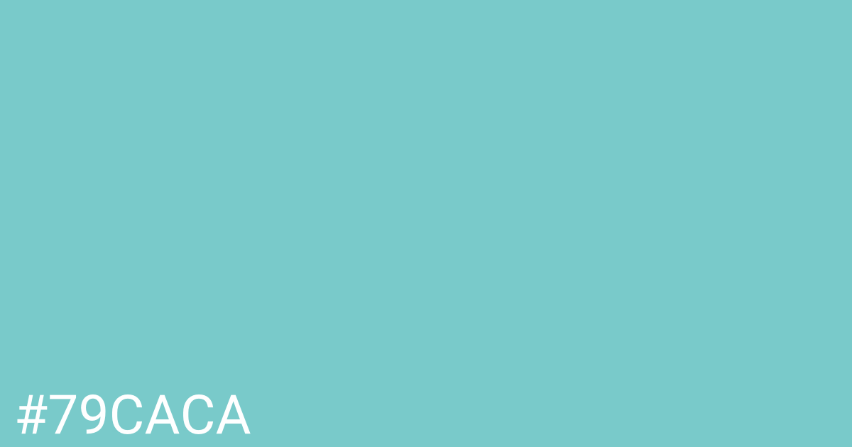 Hex color #79caca graphic