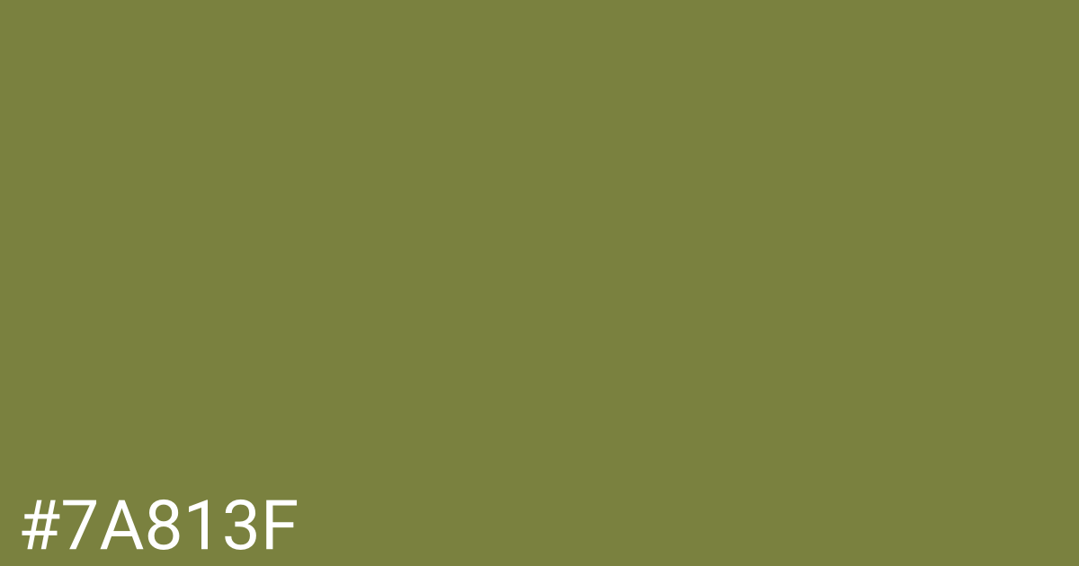 Hex color #7a813f graphic