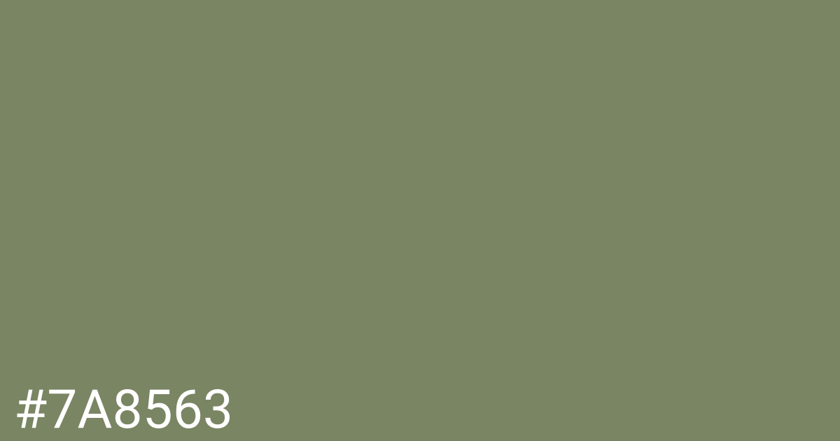 Hex color #7a8563 graphic