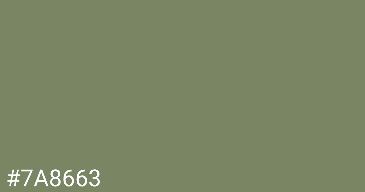 Hex color #7a8663 graphic