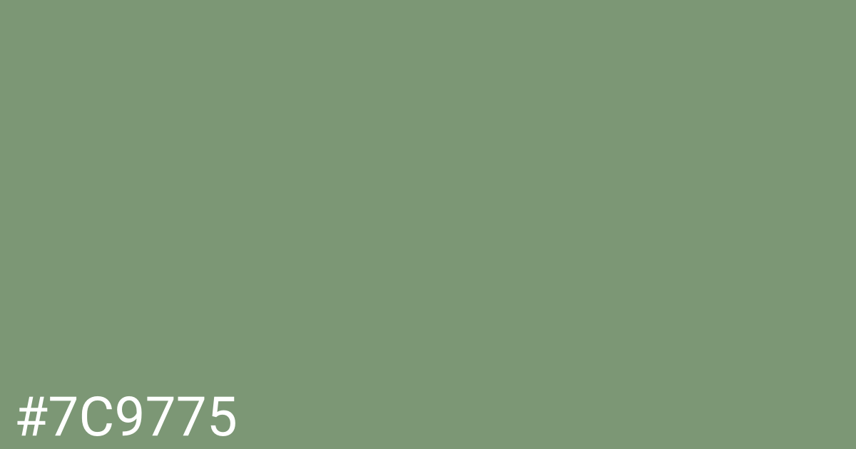 Hex color #7c9775 graphic