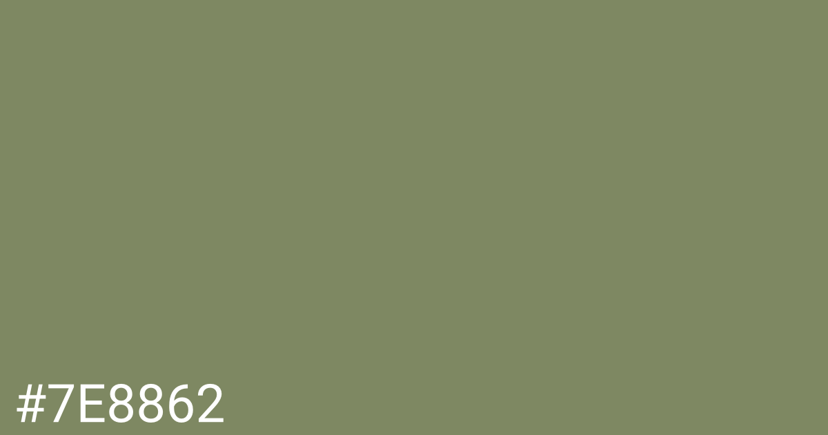 Hex color #7e8862 graphic