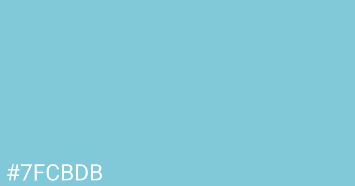Hex color #7fcbdb graphic