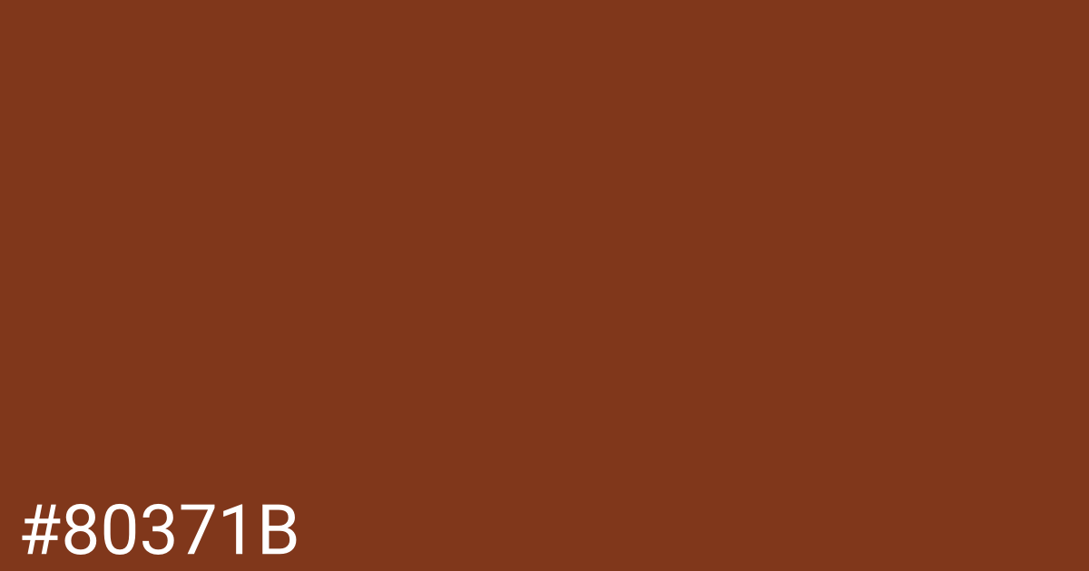 Hex color #80371b graphic