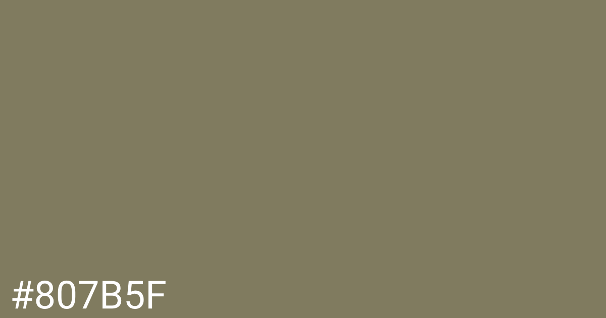 Hex color #807b5f graphic