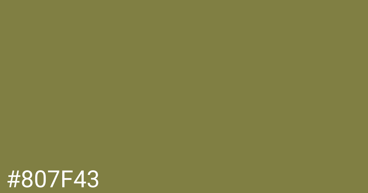 Hex color #807f43 graphic