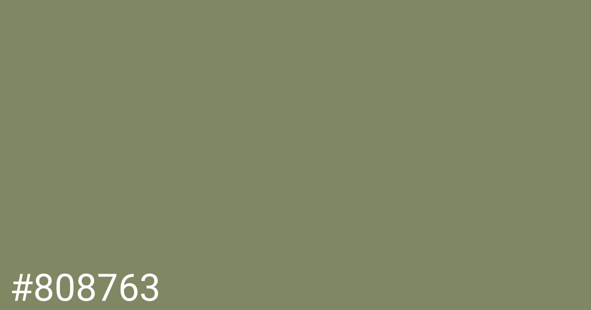 Hex color #808763 graphic