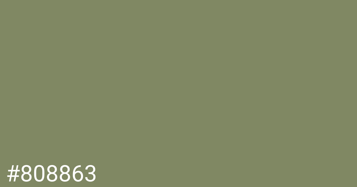 Hex color #808863 graphic