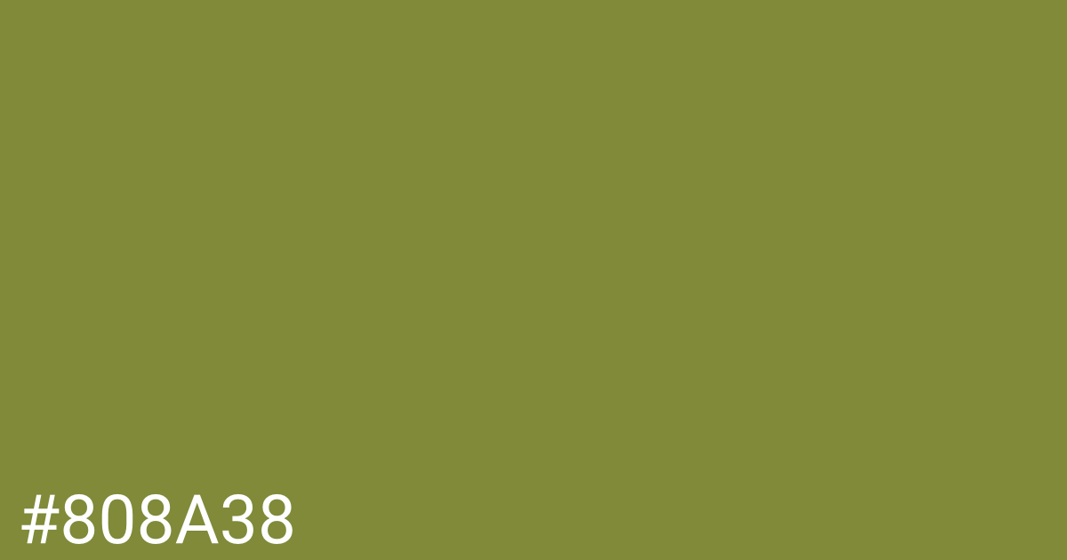 Hex color #808a38 graphic