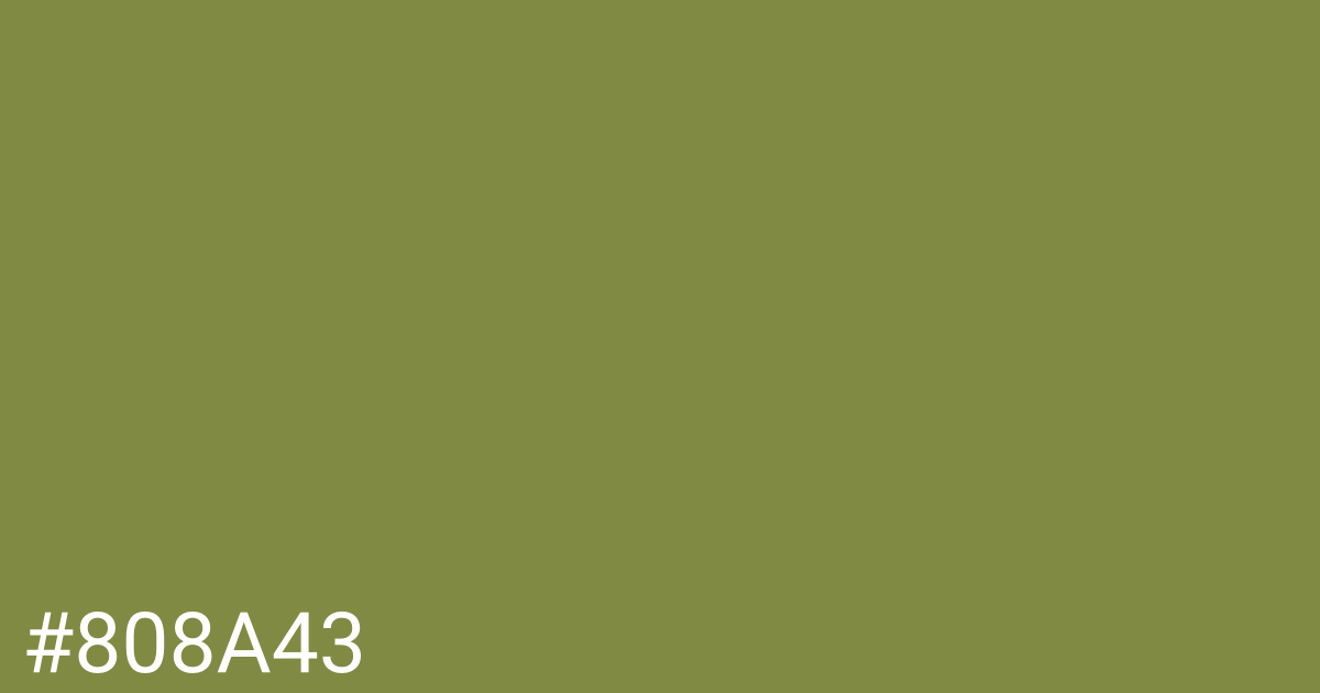 Hex color #808a43 graphic