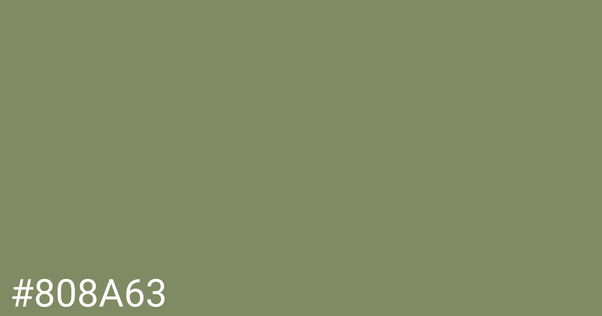 Hex color #808a63 graphic