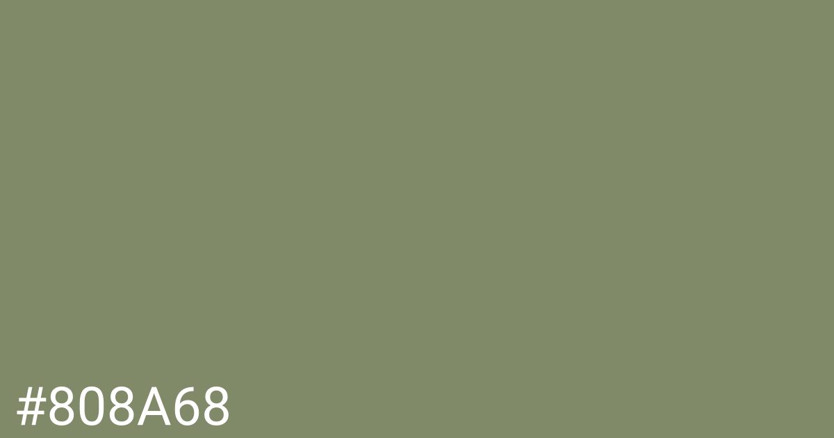 Hex color #808a68 graphic