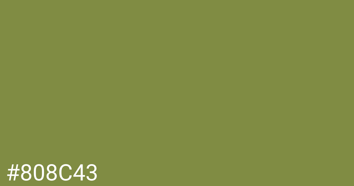 Hex color #808c43 graphic