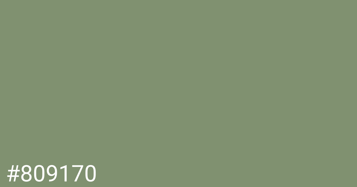 Hex color #809170 graphic