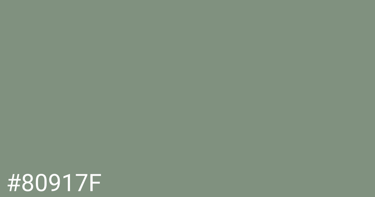 Hex color #80917f graphic