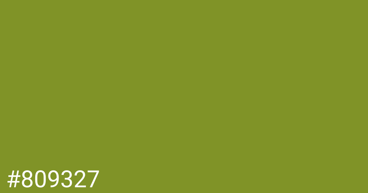 Hex color #809327 graphic