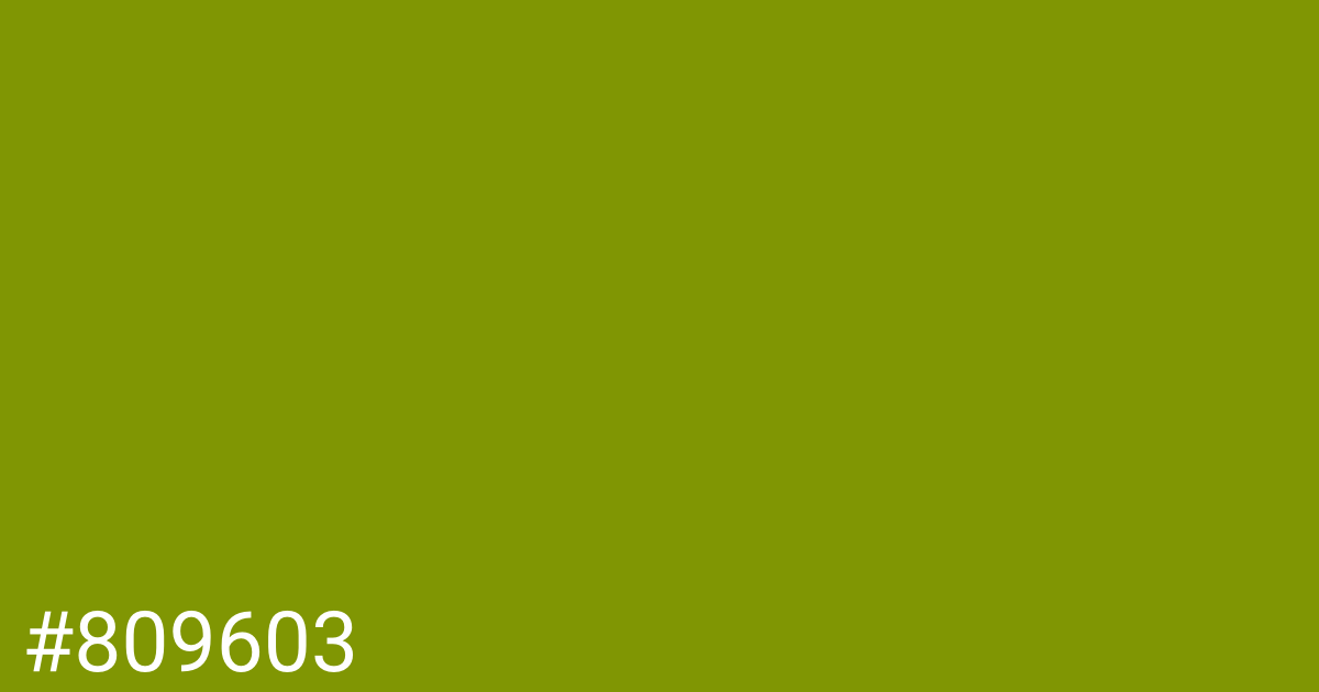 Hex color #809603 graphic