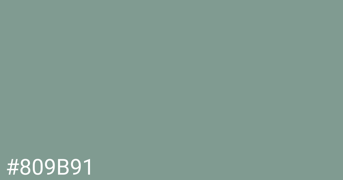 Hex color #809b91 graphic