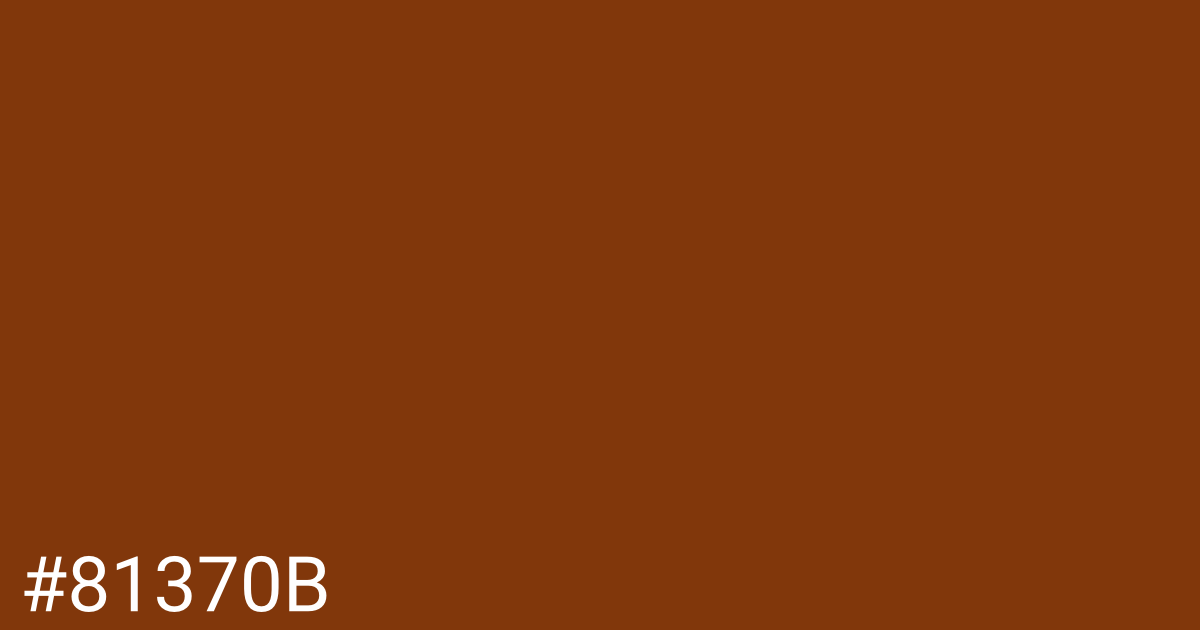 Hex color #81370b graphic