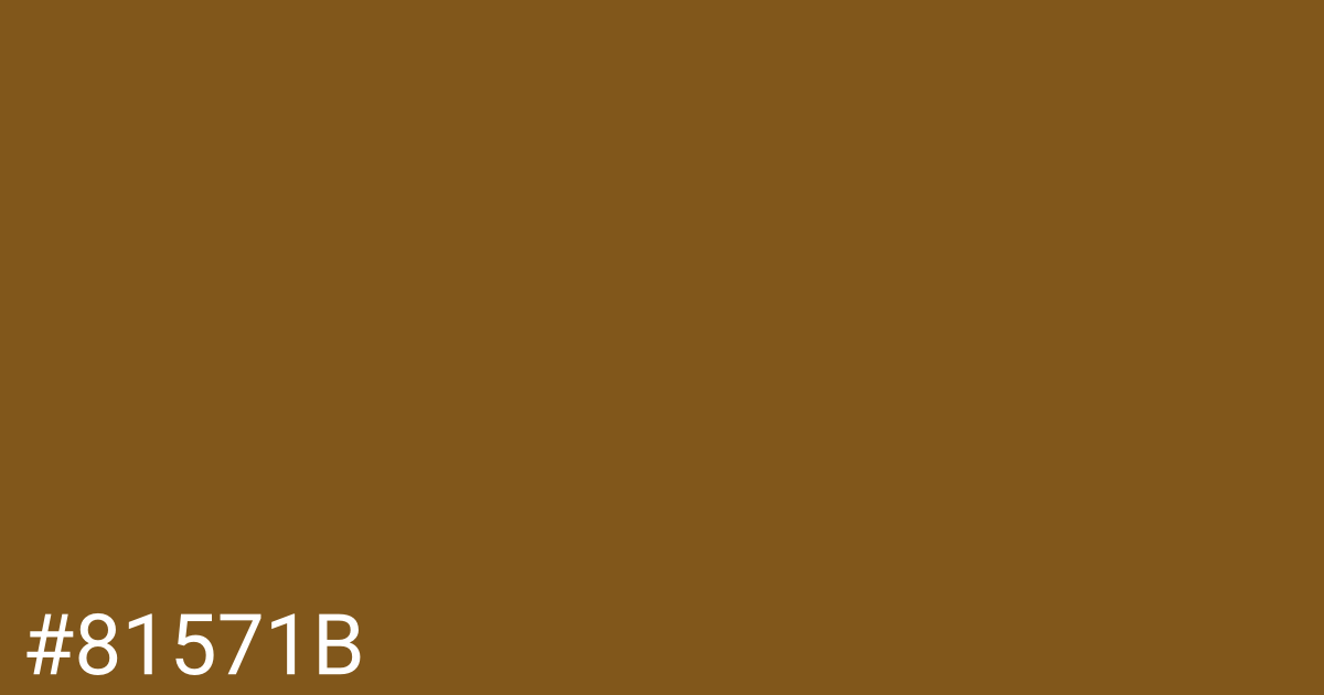 Hex color #81571b graphic