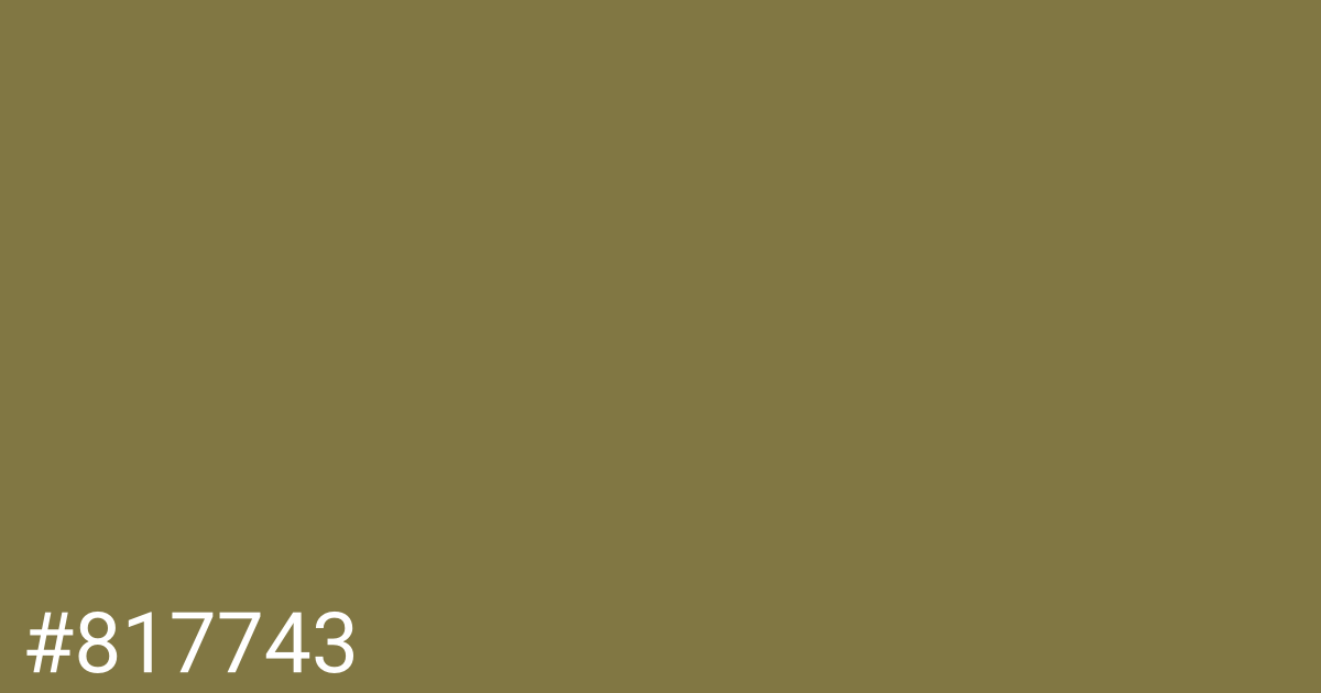 Hex color #817743 graphic