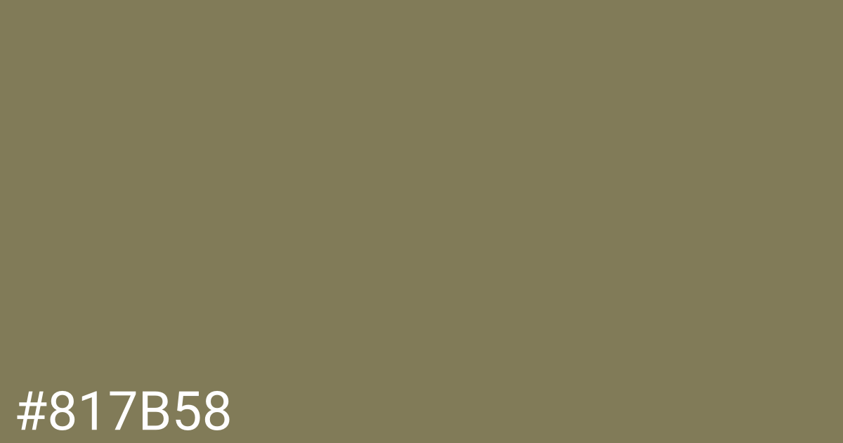 Hex color #817b58 graphic