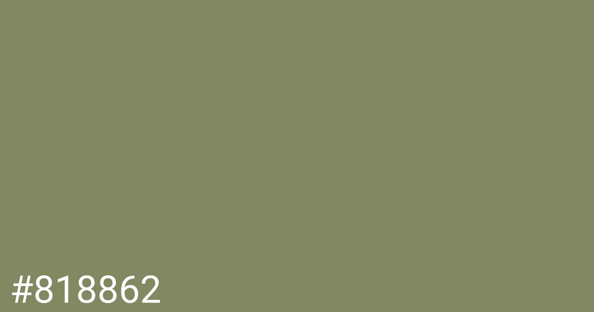 Hex color #818862 graphic