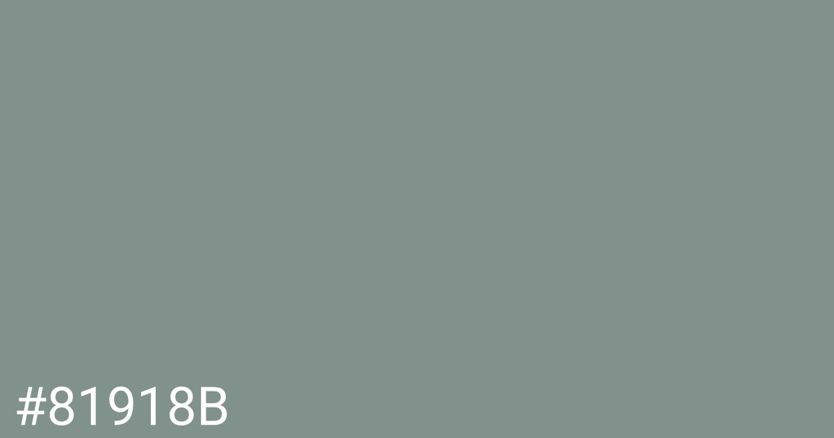 Hex color #81918b graphic