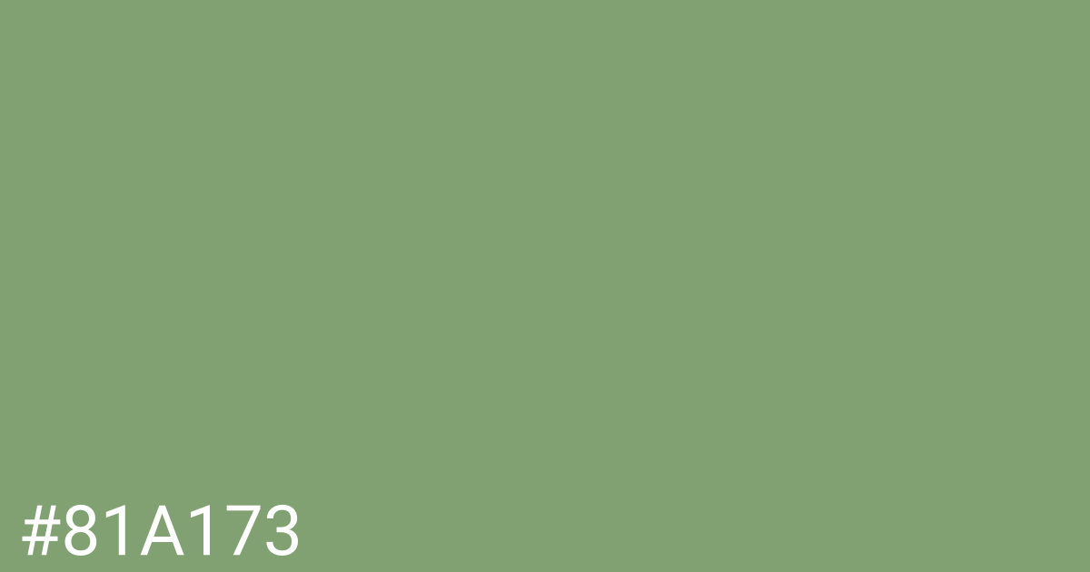 Hex color #81a173 graphic