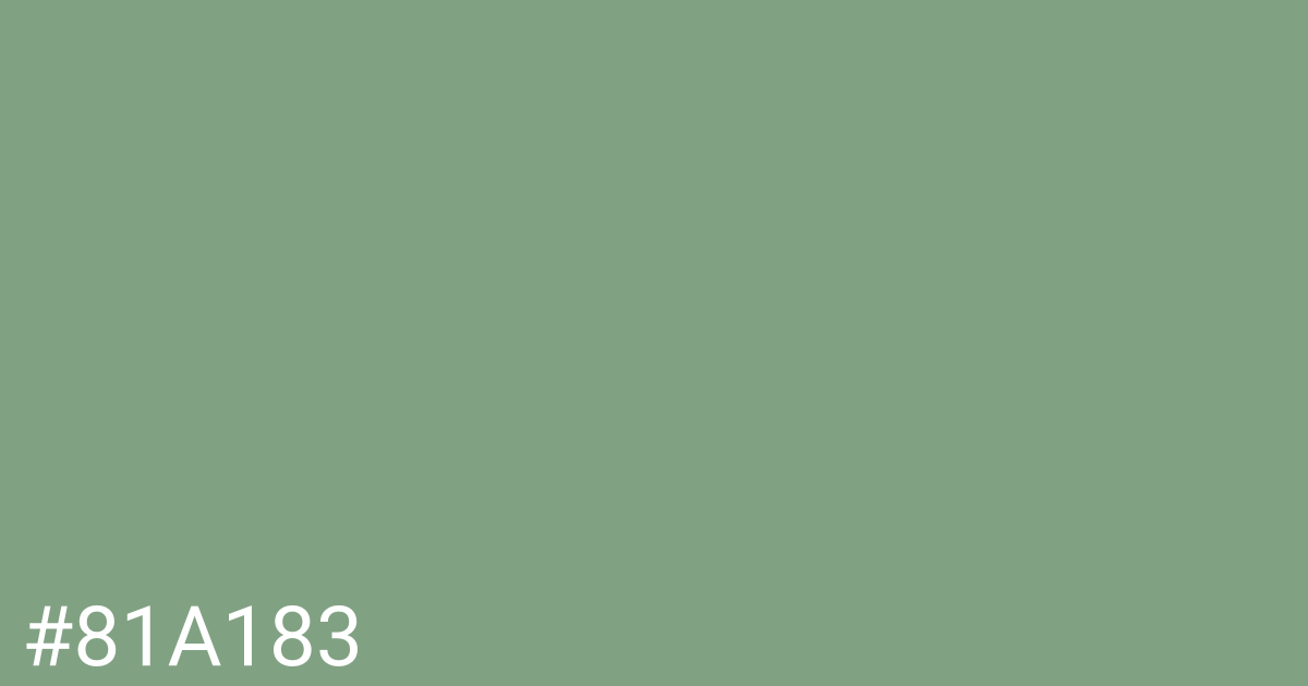 Hex color #81a183 graphic