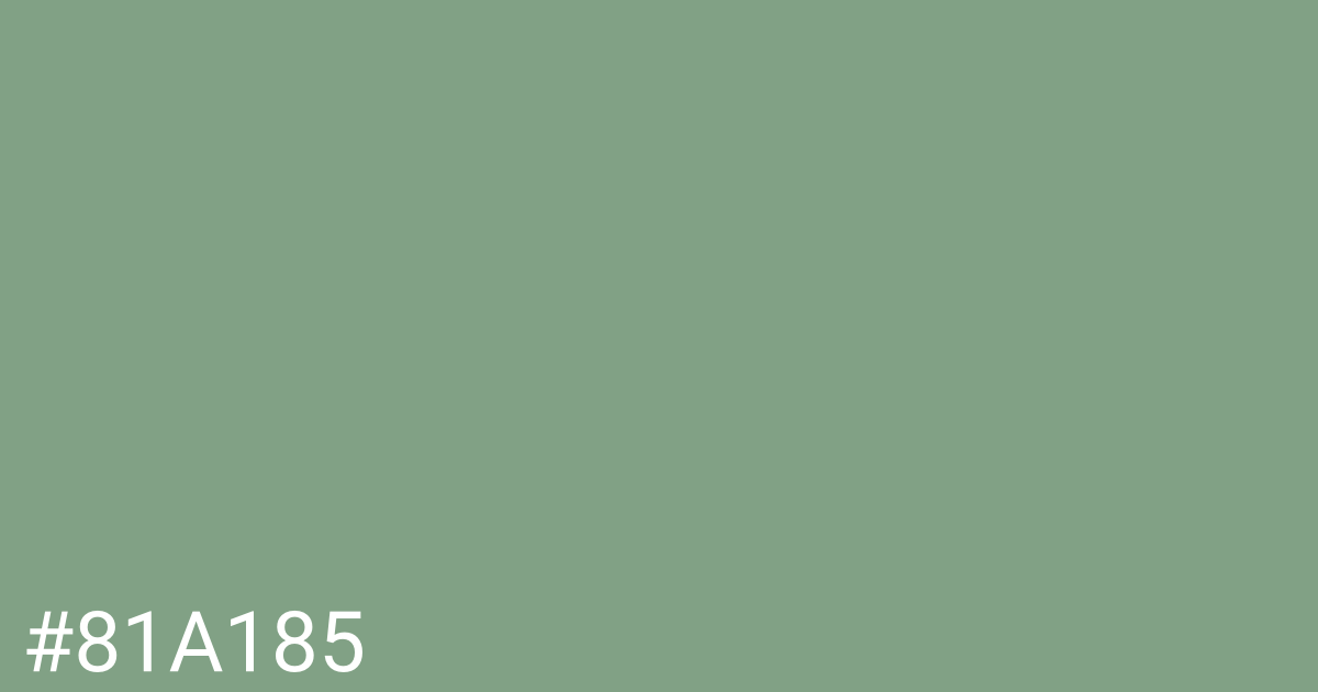 Hex color #81a185 graphic