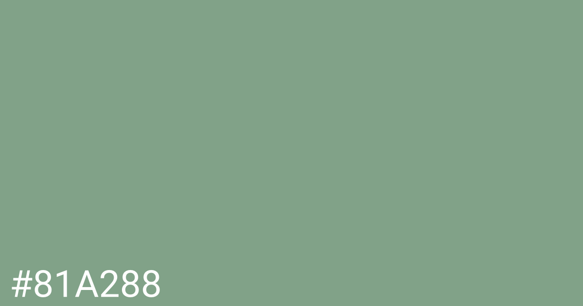 Hex color #81a288 graphic