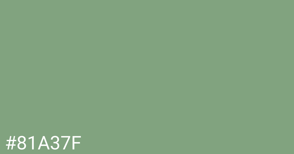 Hex color #81a37f graphic