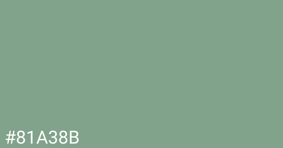 Hex color #81a38b graphic