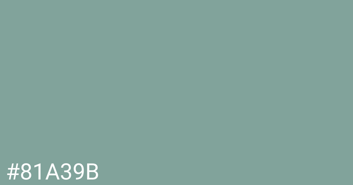 Hex color #81a39b graphic