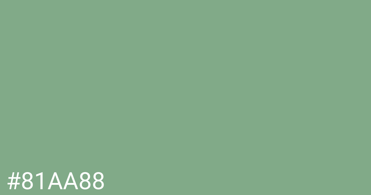 Hex color #81aa88 graphic