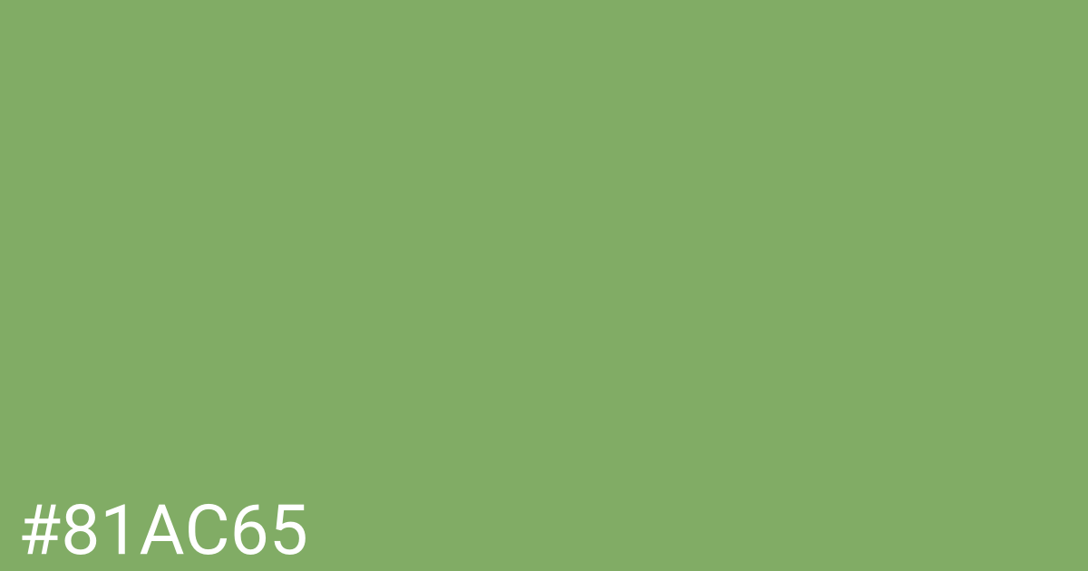 Hex color #81ac65 graphic