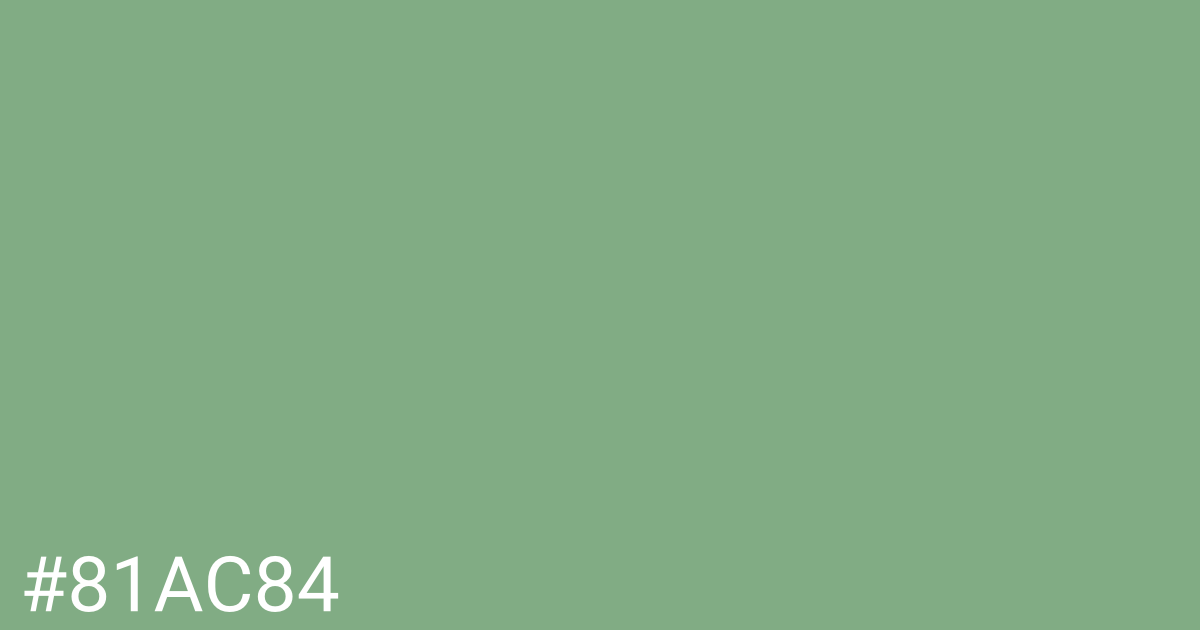 Hex color #81ac84 graphic