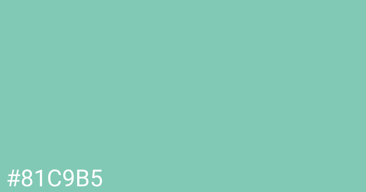 Hex color #81c9b5 graphic