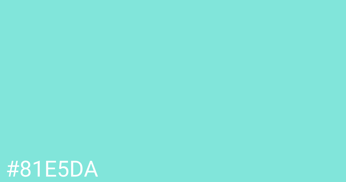 Hex color #81e5da graphic
