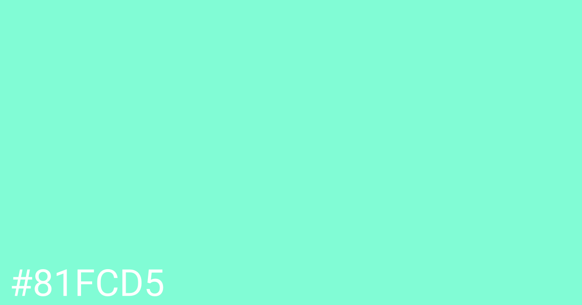 Hex color #81fcd5 graphic