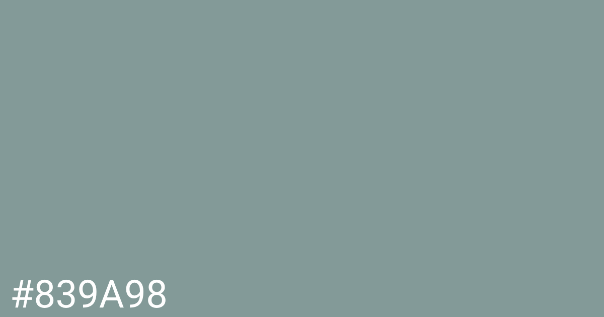 Hex color #839a98 graphic