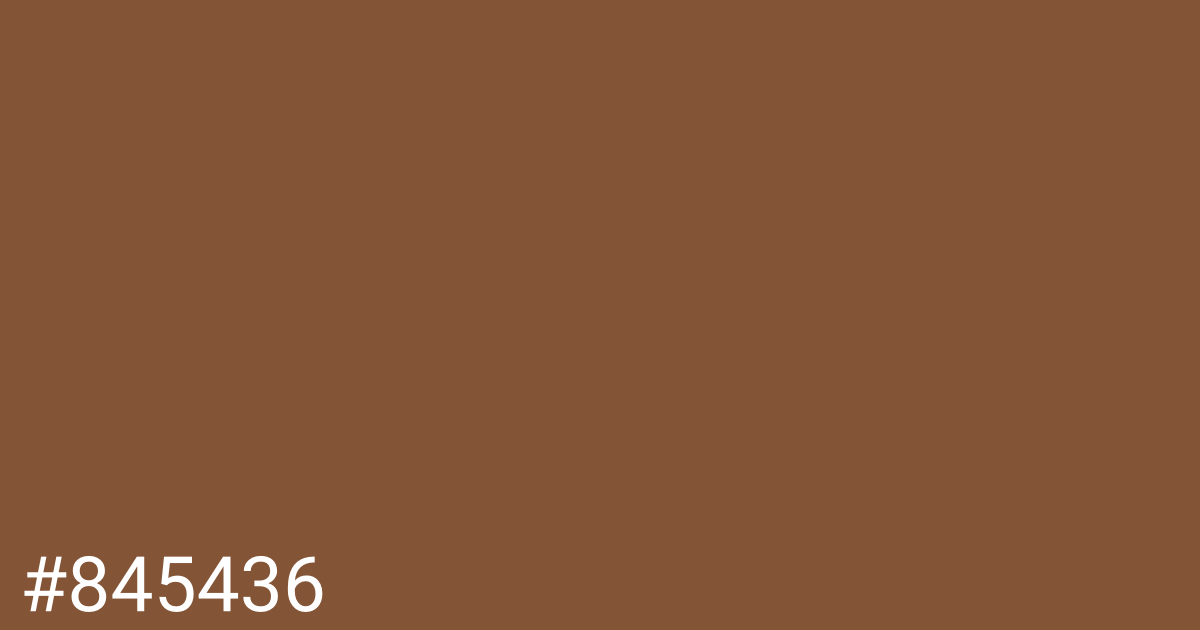 Hex color #845436 graphic