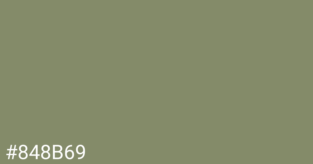 Hex color #848b69 graphic